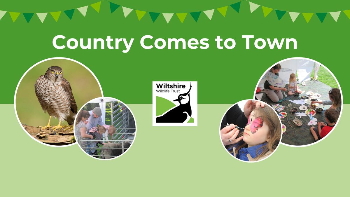 Country Comes To Town - Swindon