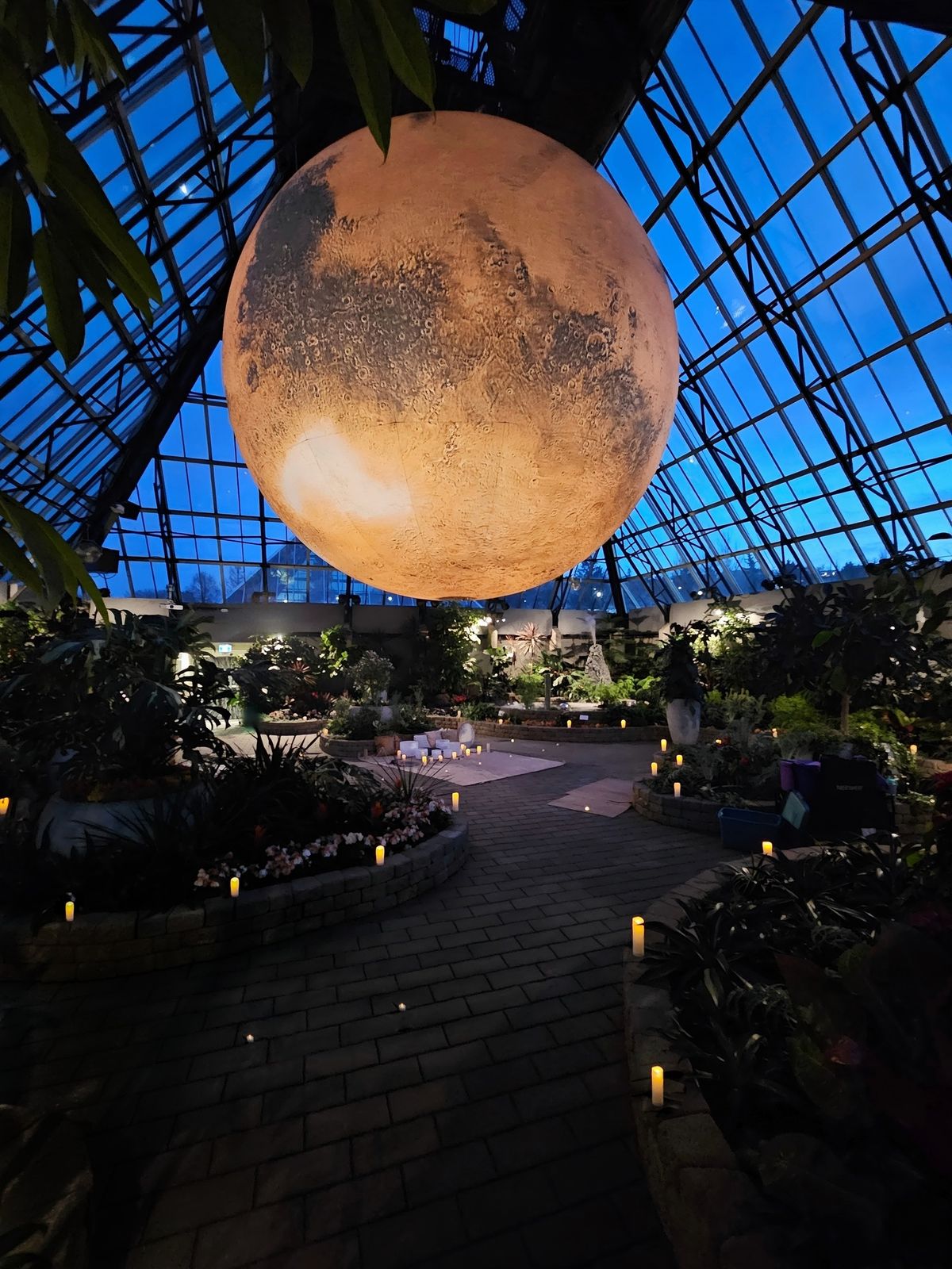 Echoes of Mars: A Sound Bath Experience