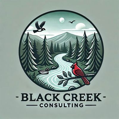 Black Creek Consulting LLC