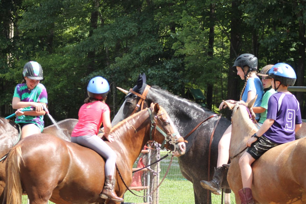(Beginner-Friendly)Horse Camp