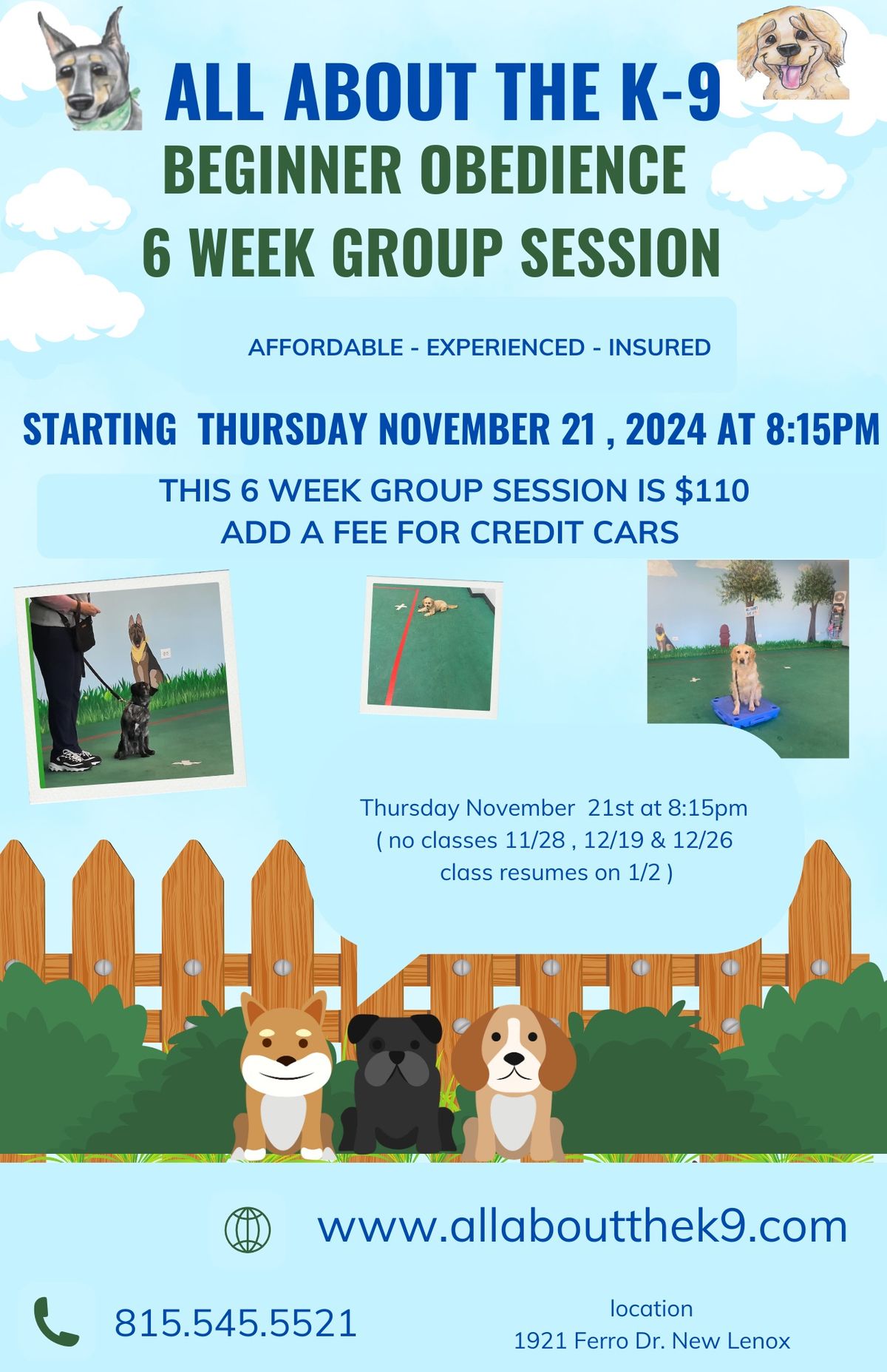 Beginner Obedience 6 week Group Training Session