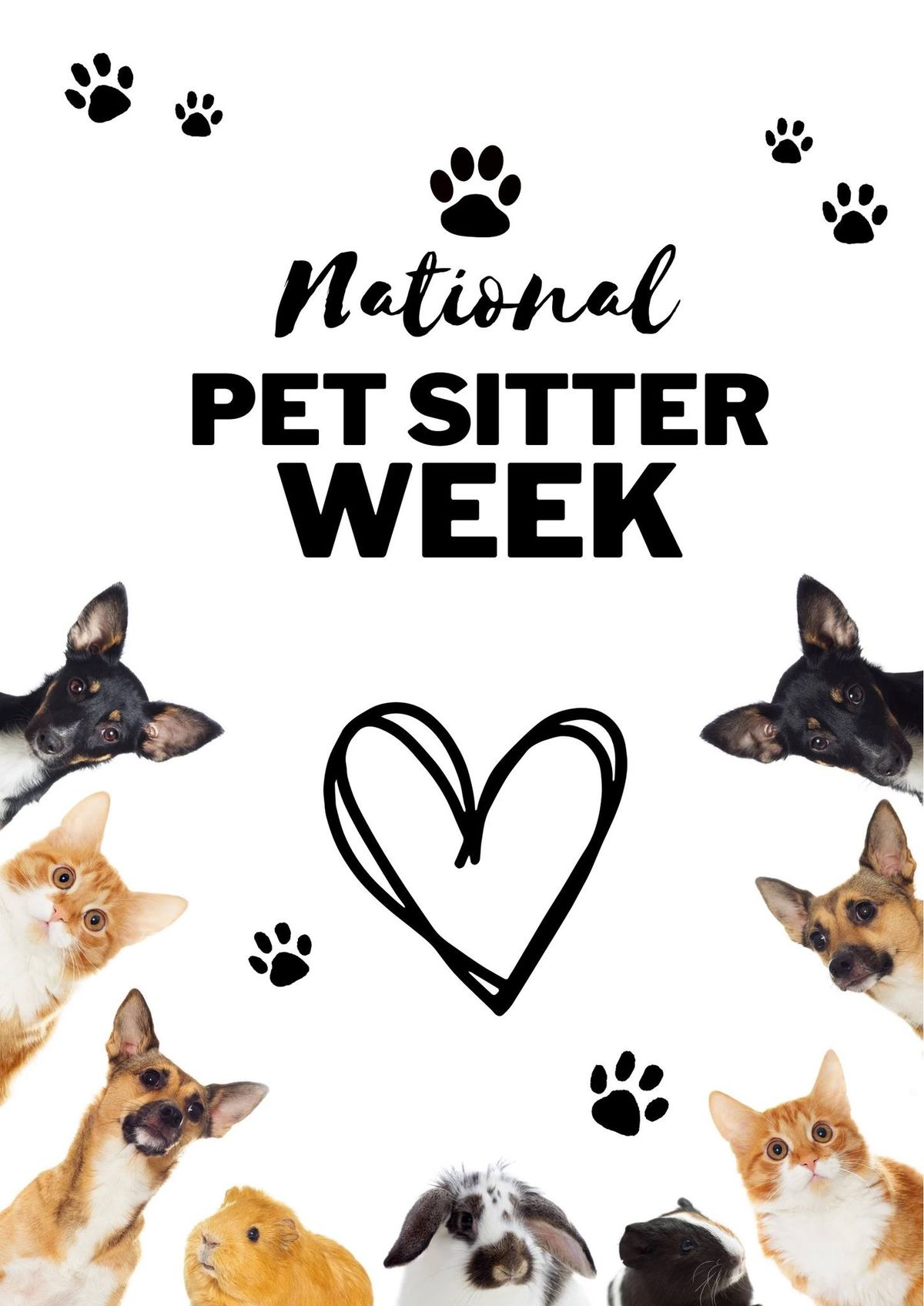 Celebrate Pet Sitter\u2019s!