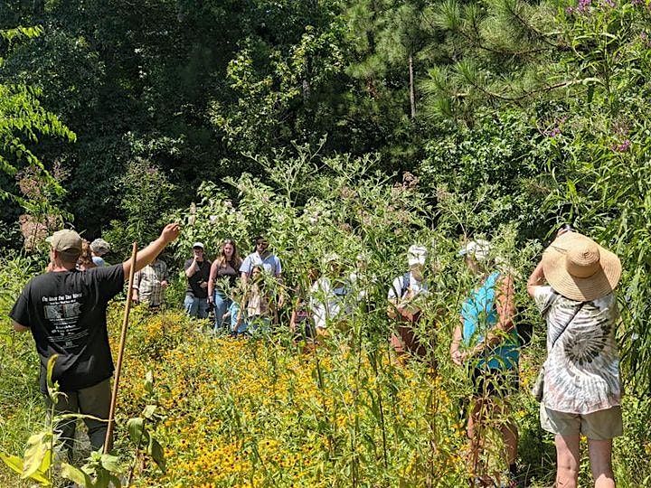 SI Bio-Blitz Torrey Botanical Society Plant Walk