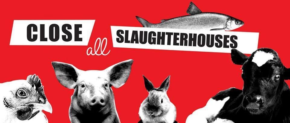 March to Close all the Slaughter Houses-Pak Mecca Meats