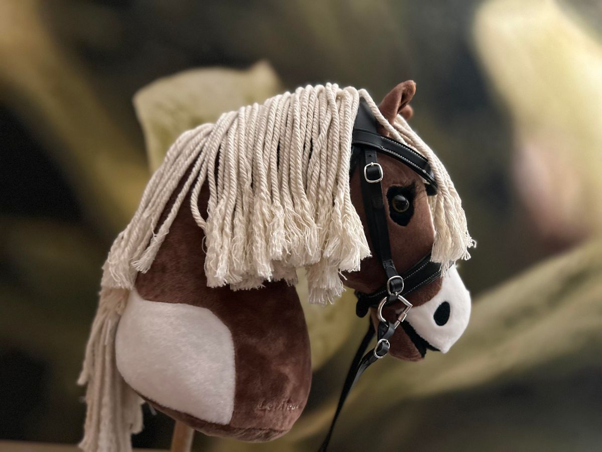 Hobby Horse Competition - Harrogate