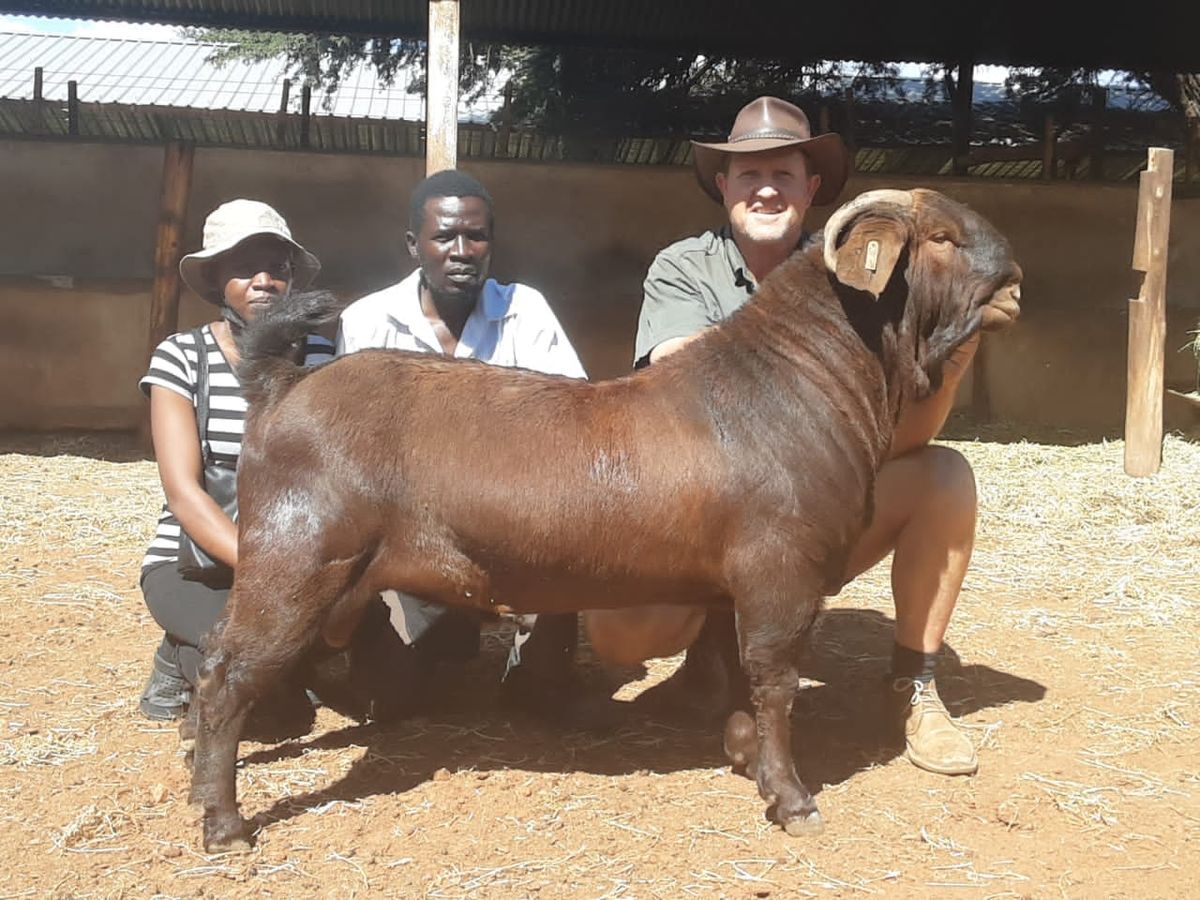 Zadac Goat Reproduction practical workshop