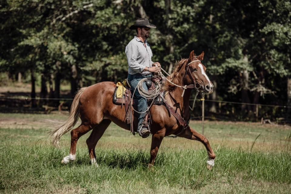 Foundation Horsemanship Clinic