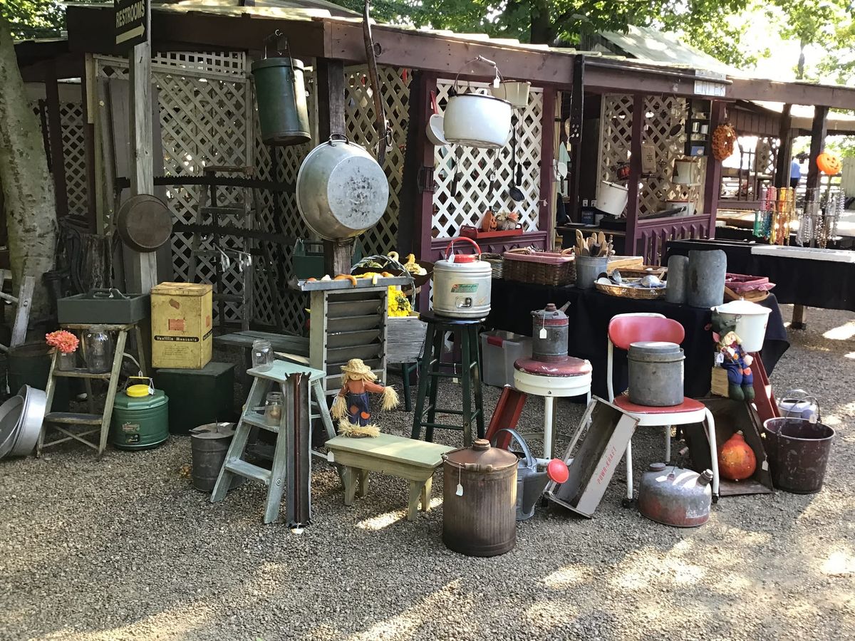 Antiques in the woods and vintage too