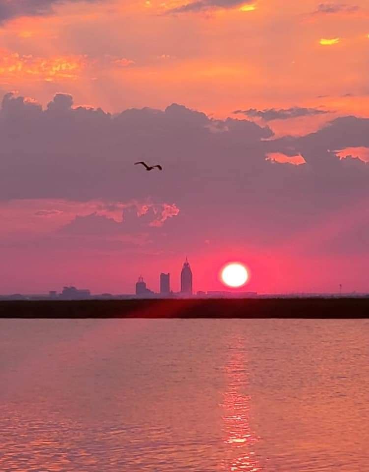 Mobile Habor Sunset Cruise