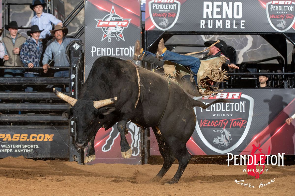 Buck Stampede Rodeo & Bull Riding