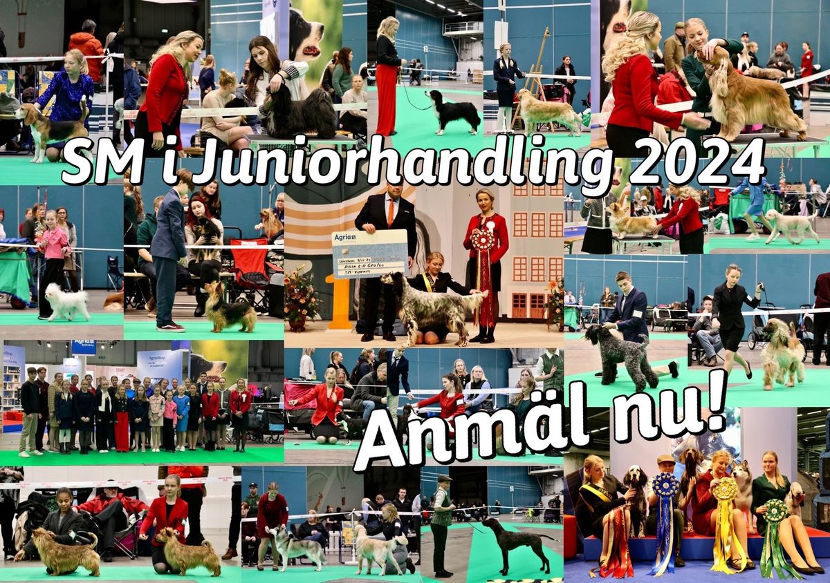 SM Juniorhandling 2024