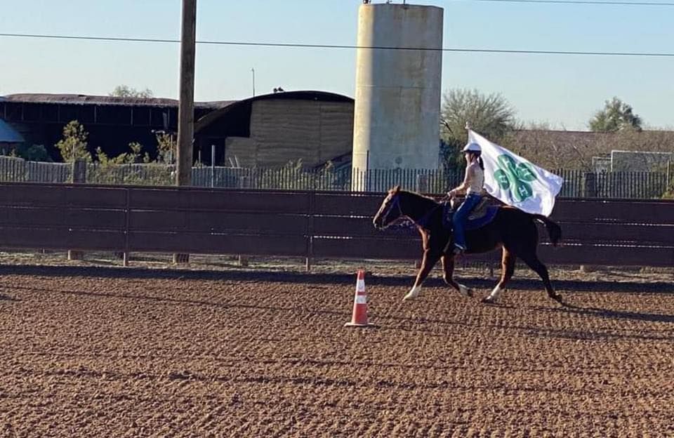 1st Pinal County 4-H Pointed Gymkhana & Western Show