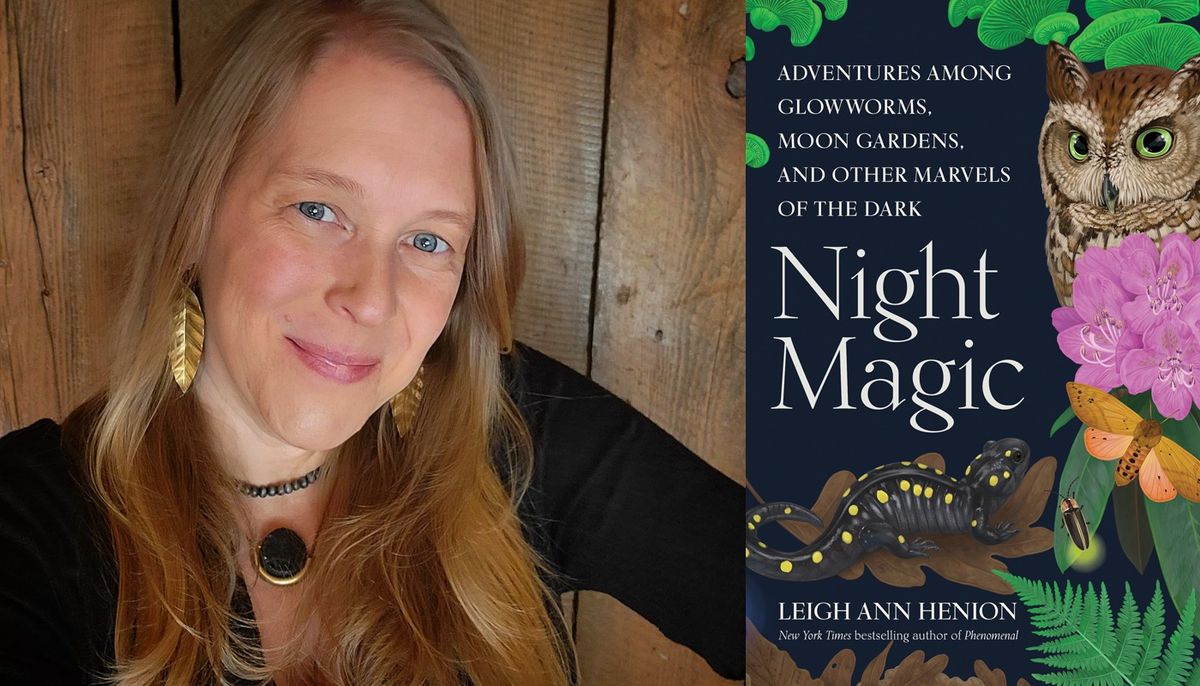 Leigh Ann Henion: Night Magic