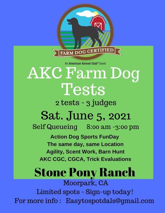 Ads Farm Dog Tests Cgc Trick Testing Stone Pony Ranch Moorpark 5 June 2021