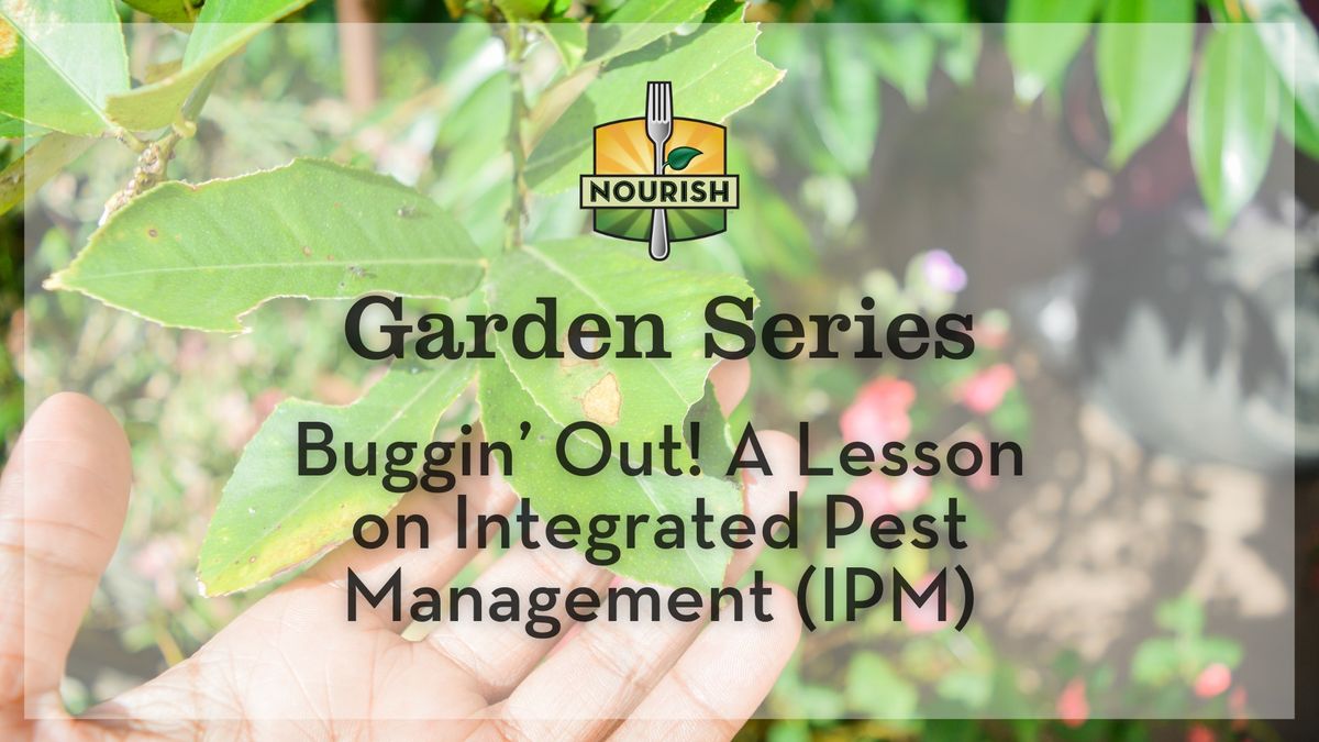 Garden Series: Buggin' Out! A Lesson on Integrated Pest Management (Evening Session)