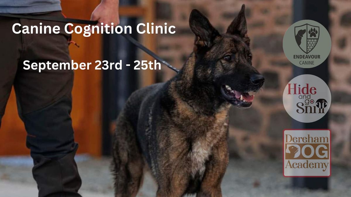 Canine Cognition with Endeavour Canine