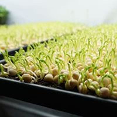 South Dakota Specialty Producers Association