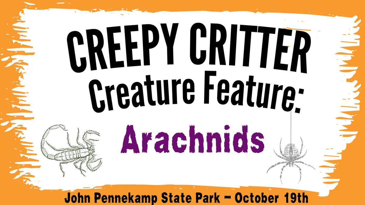 Creepy Critter Creature Feature: Arachnids