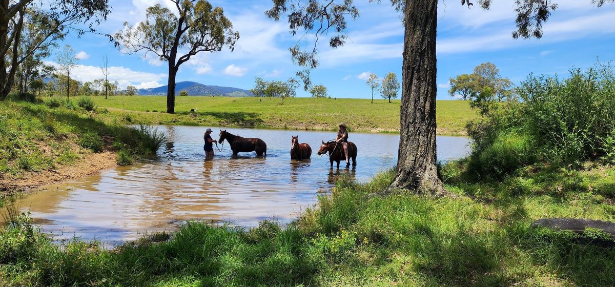 YellowScone Trail Riding\/Confidence Camp