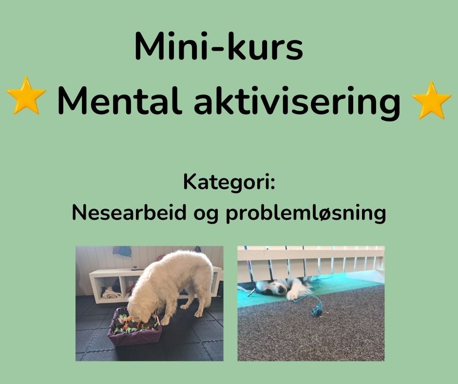 Mini-kurs i mental aktivisering