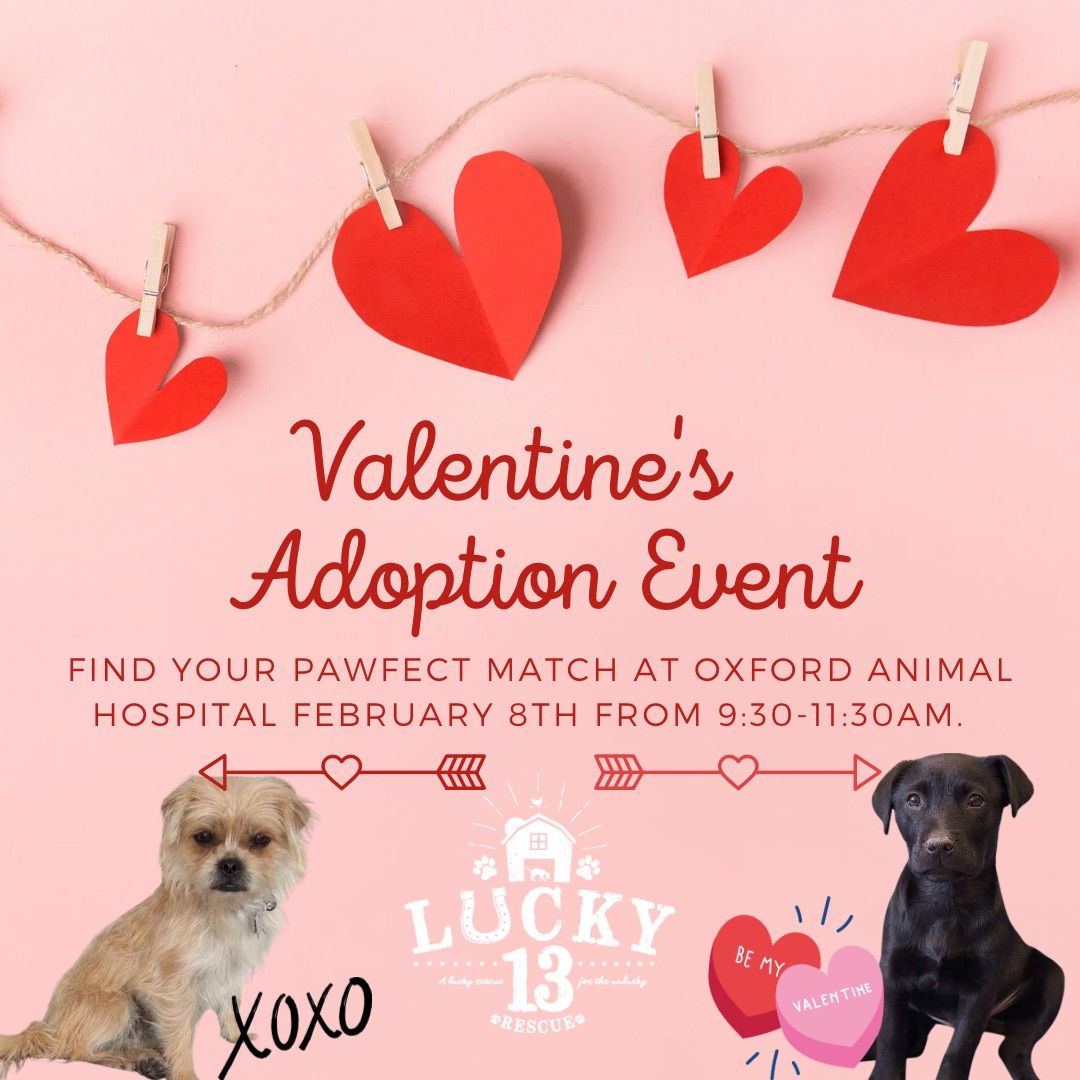 Valentine\u2019s Adoption Event with Lucky 13