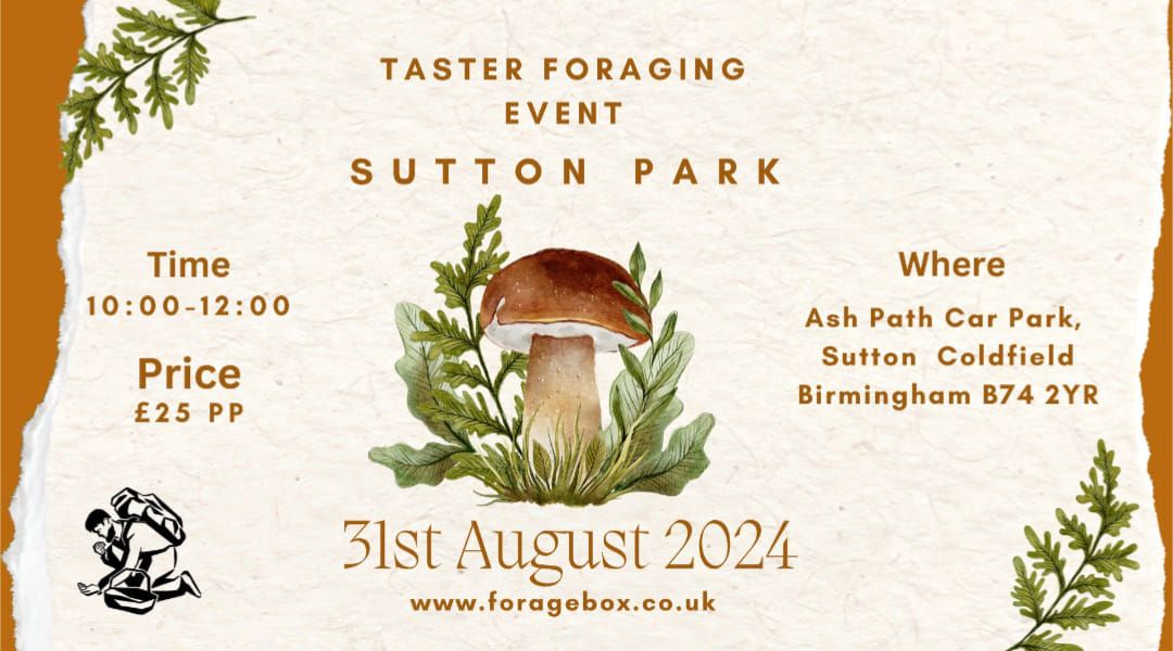 Taster Foraging Event at Sutton Park 