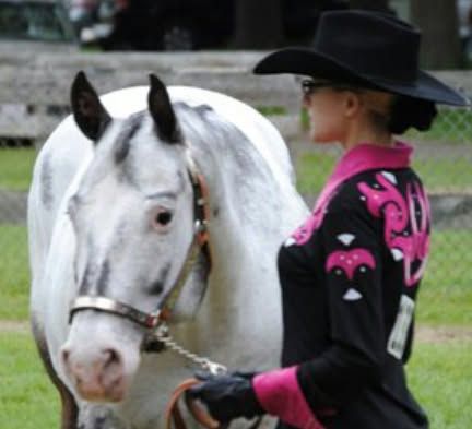 J&M show team at Connecticut Color Breed