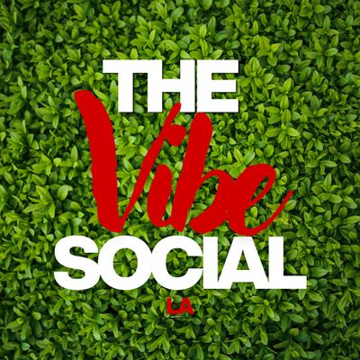 TheVibeSocialLA