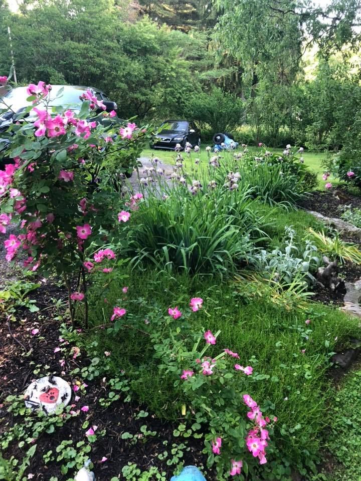 Annual 4th of July cookout 200 pm August 27th, 12113 Loy Wolfe Rd