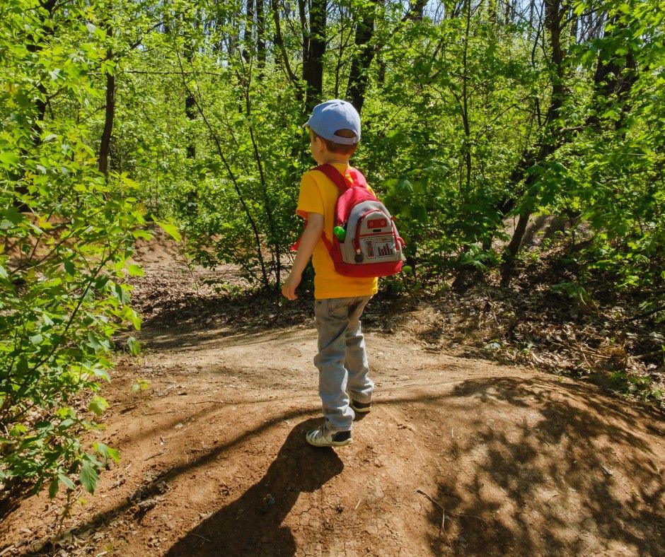 Tree Hike for Kids 