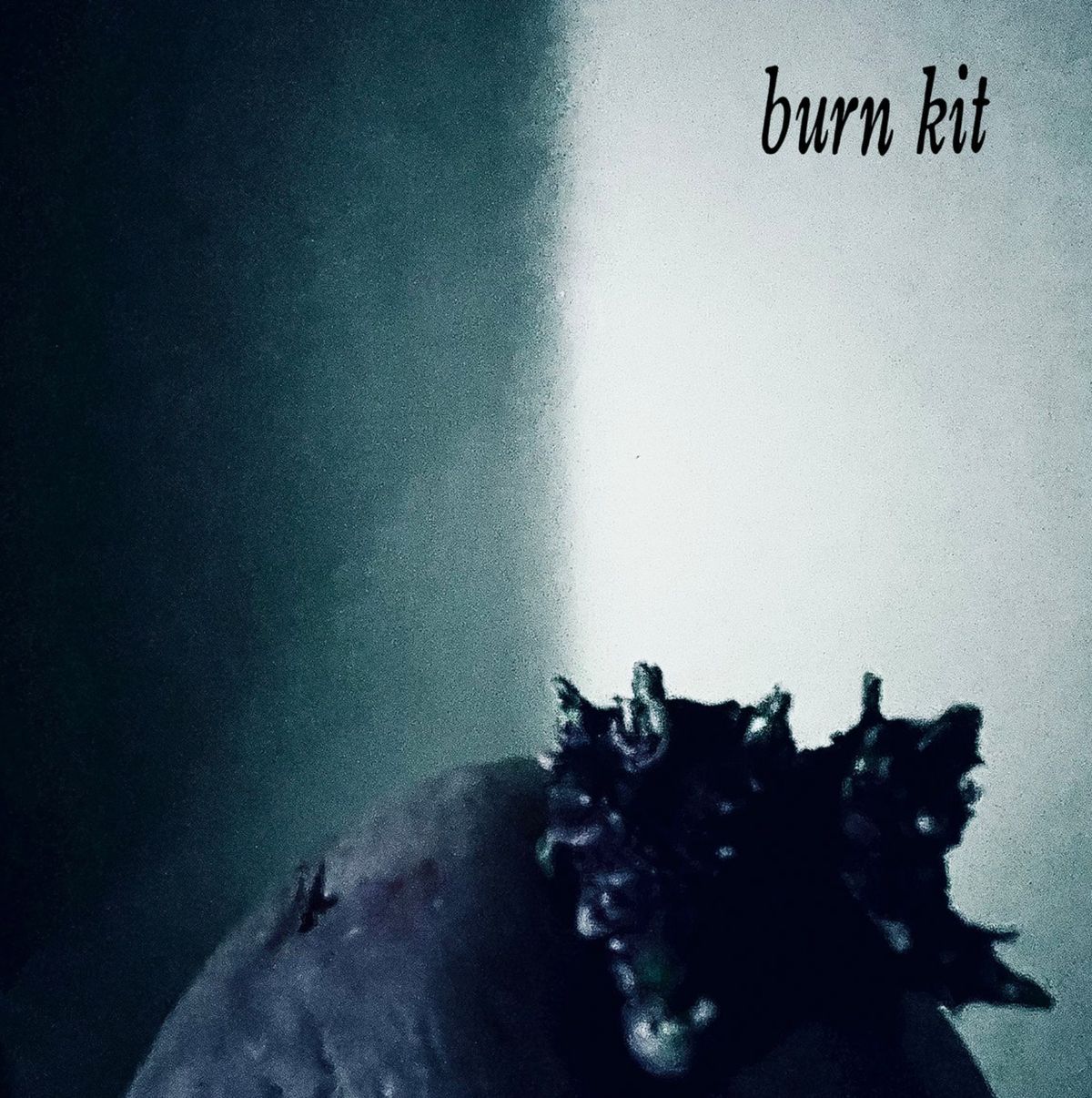 Burn Kit \/ us \/ indie punk 