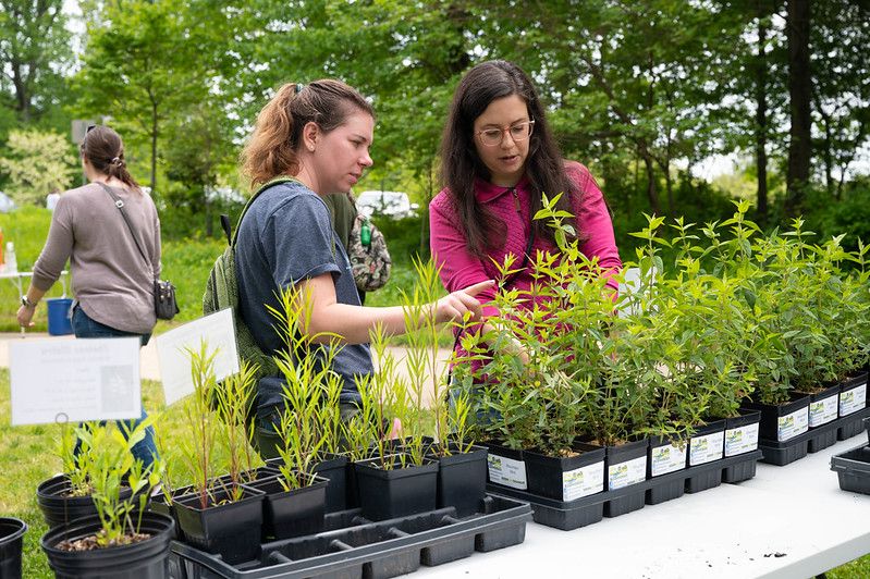 Native Plant Palooza at Robinson Nature Center