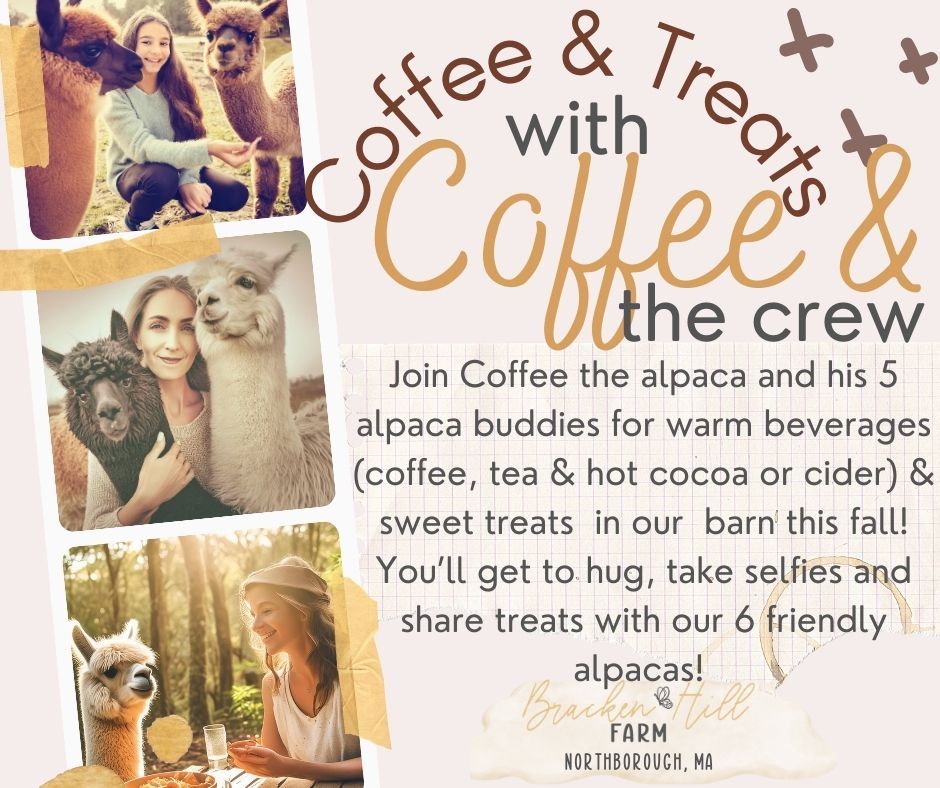 Coffee (and Cocoa!) & Treats with Alpacas