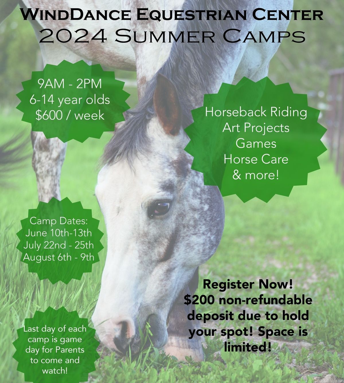 Wind Dance Equestrian Summer Camps