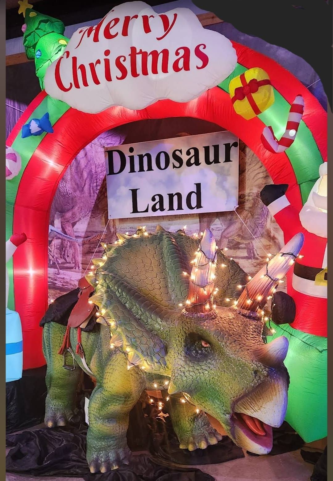 Christmas of Lights in Dinosaur Land and Dinosaur Forest