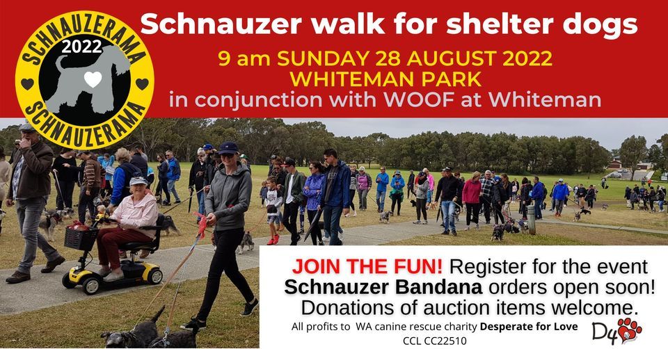 Schnauzerama Schnauzer walk for shelter dogs