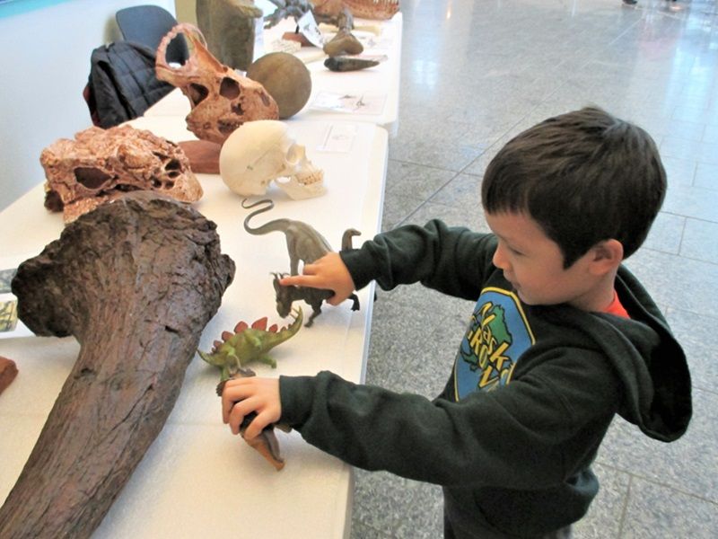 Family Day: Fossils