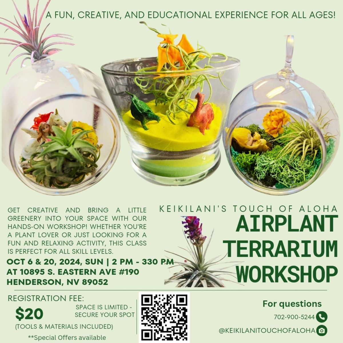 DIY Airplant Terrarium Class for Adults & Kids!