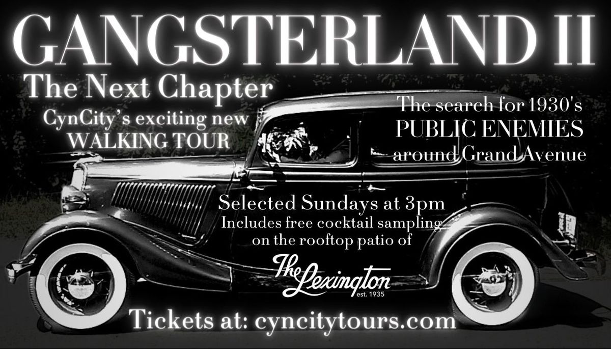 Gangsterland II - The Next Chapter