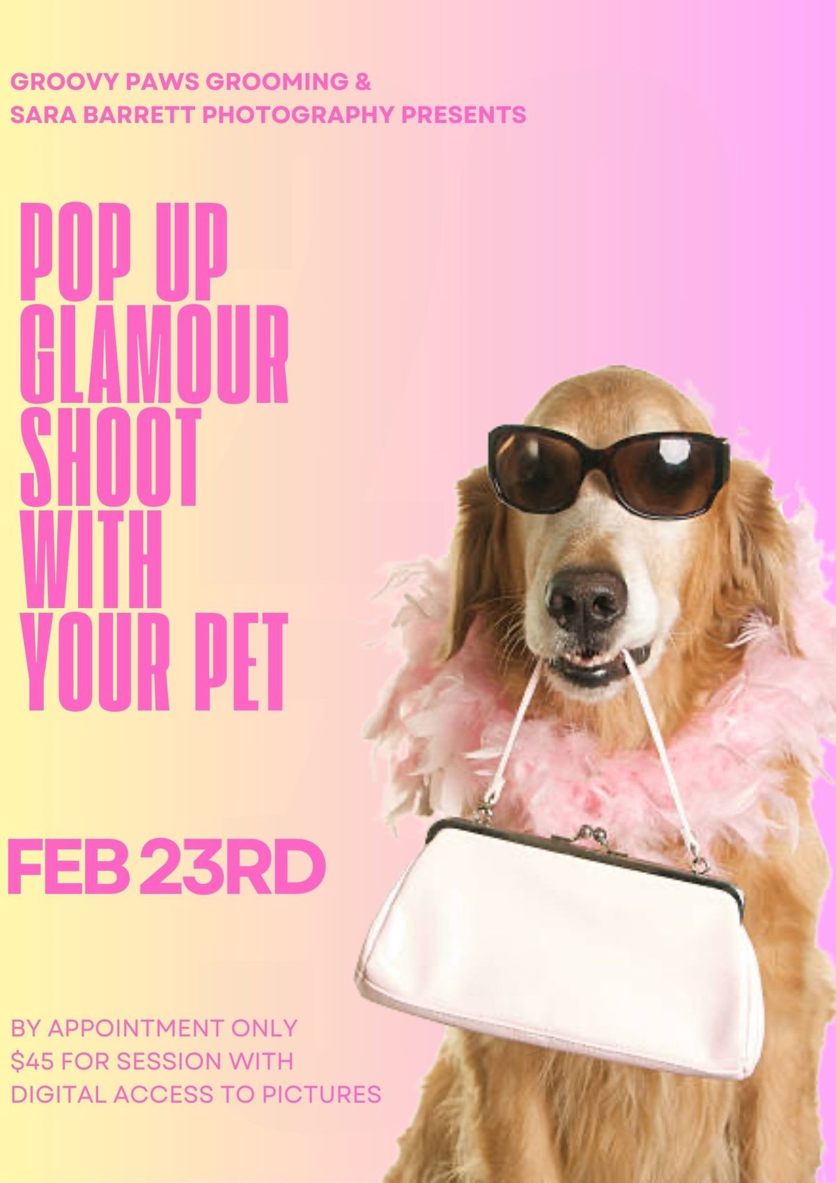 Pop up glamour shoot with your pet!