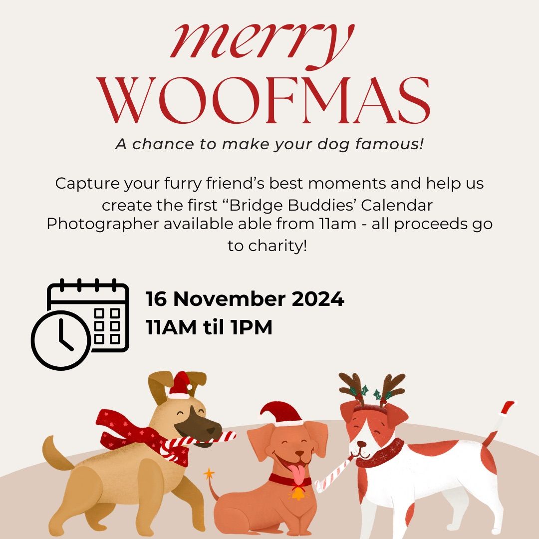 \ud83d\udc3e SANTA PAWS - 16TH NOV