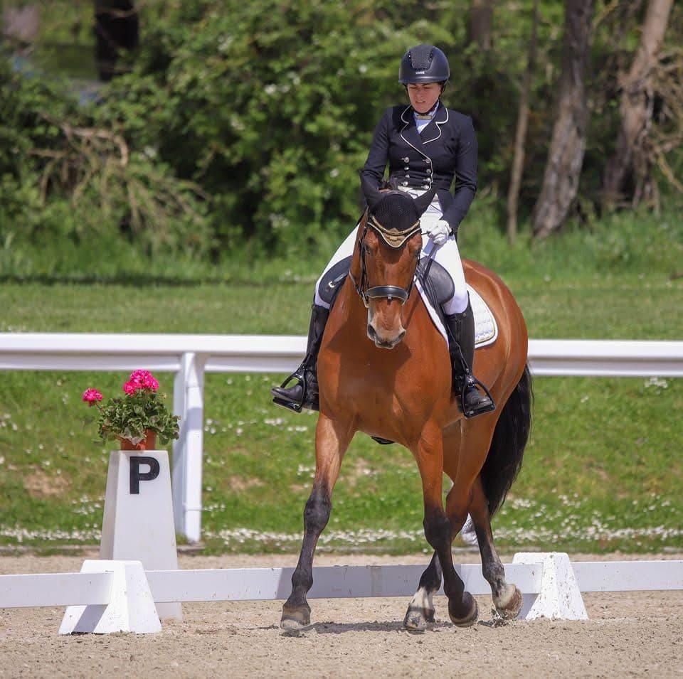 1er Concours de dressage 