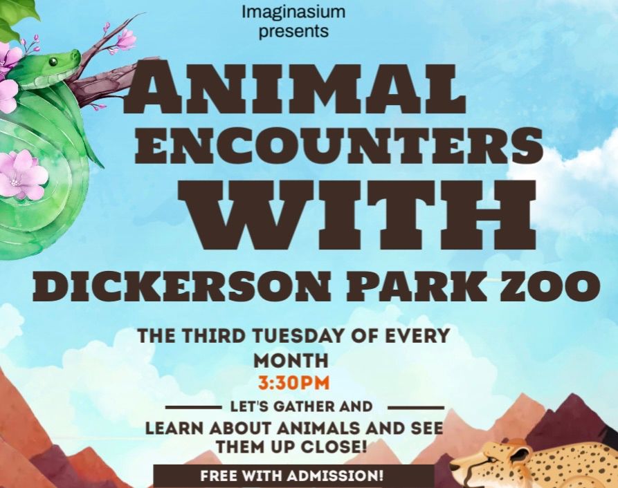 Animal Encounters 