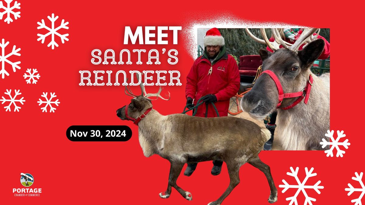 Meet Santa's LIVE Reindeer 