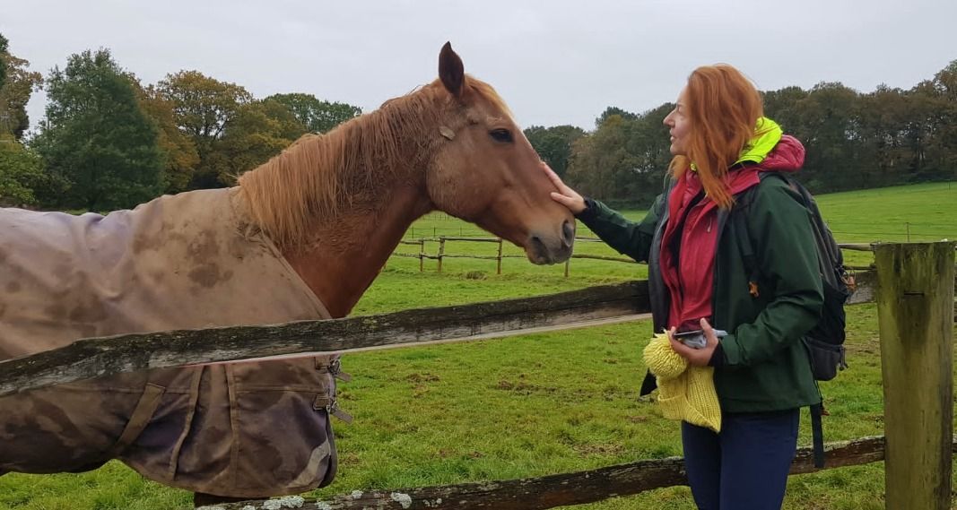 Just Hike: 15km Farmyards circular walk Blackheath to Peaslake Village