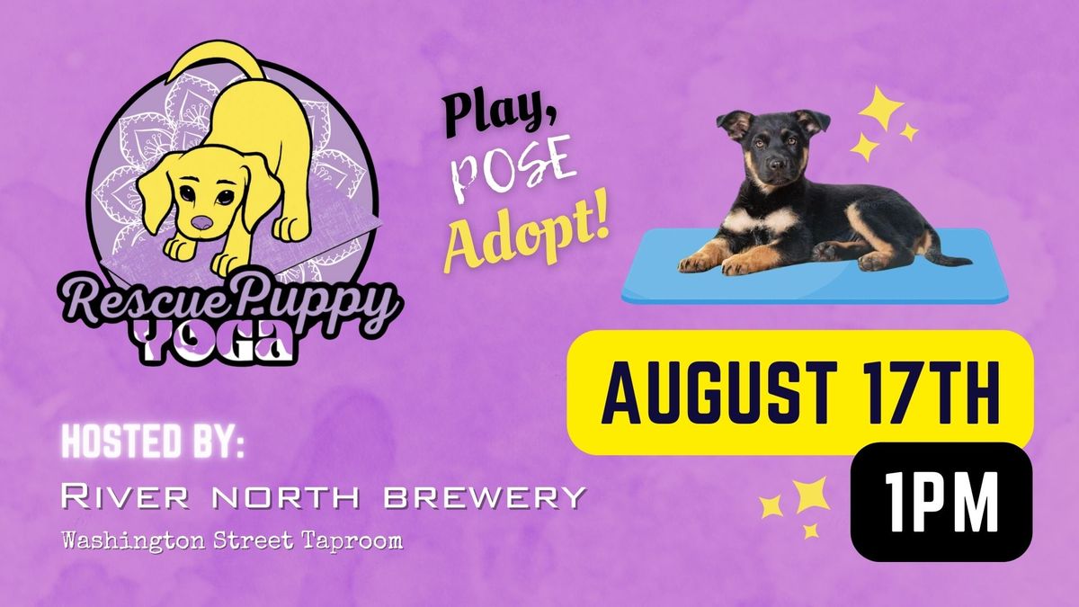 Rescue Puppy Yoga - River North Brewery Washington Street Taproom!
