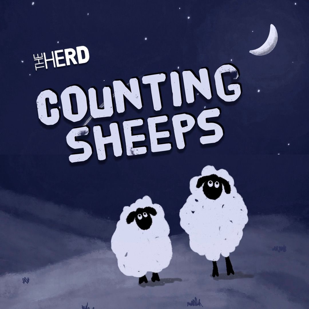 Counting Sheeps 