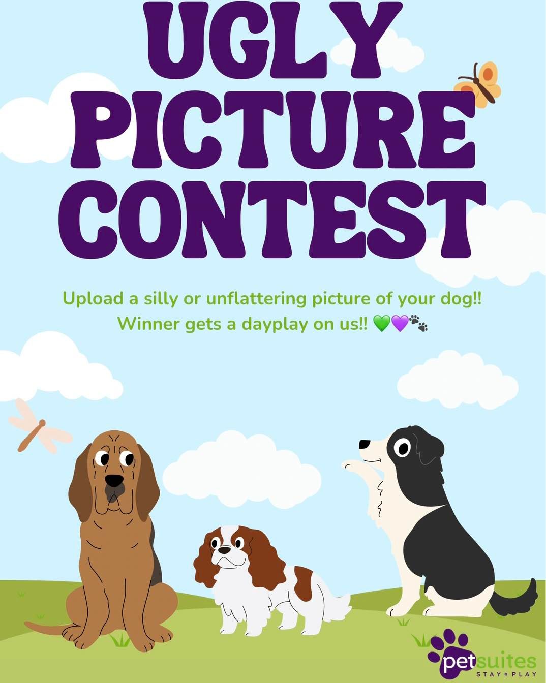Picture contest 