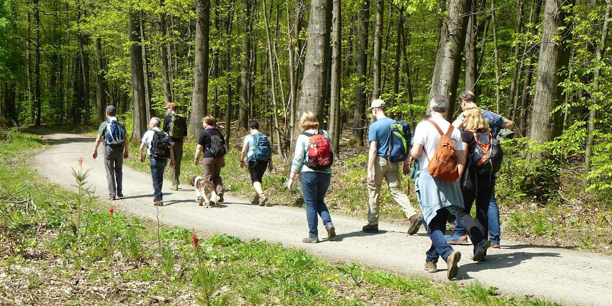 Walk & Talk \u2013 Singlewanderung mit Single-Coach Martina: Ettlingen (30+)