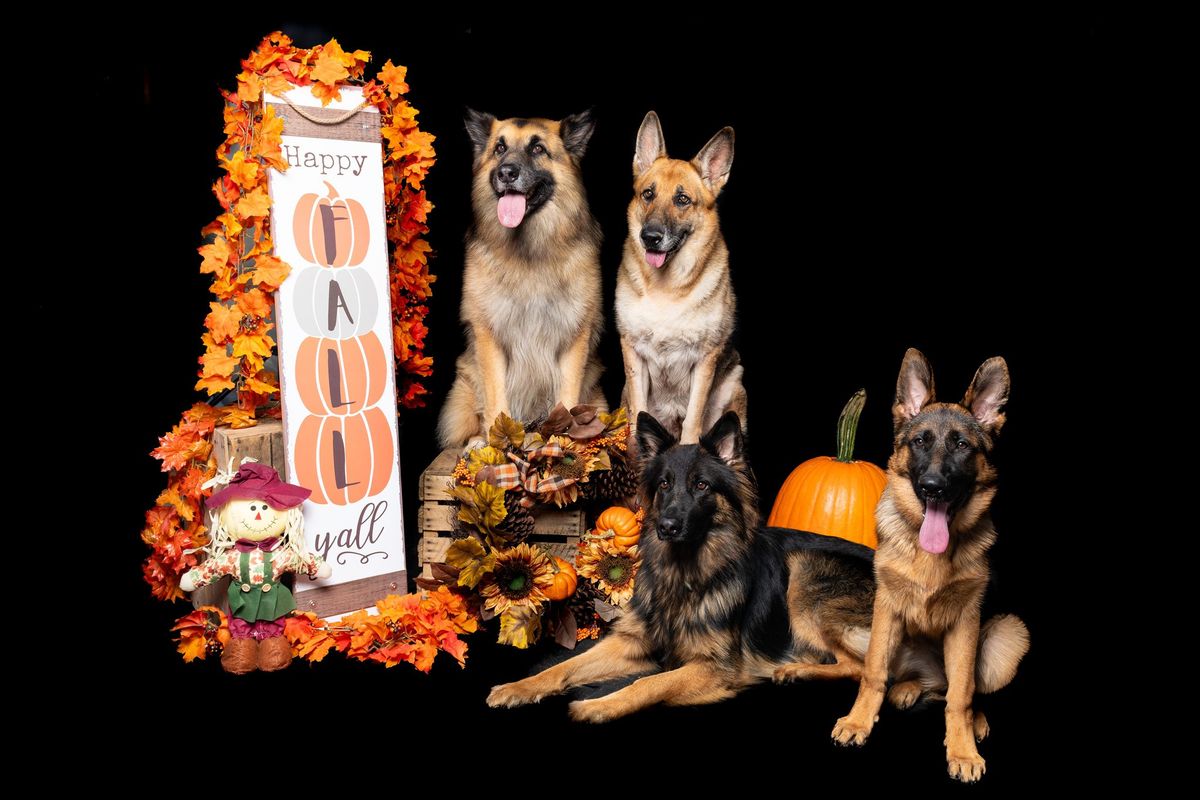 Halloween \/ Fall shoot at Last Journey K9